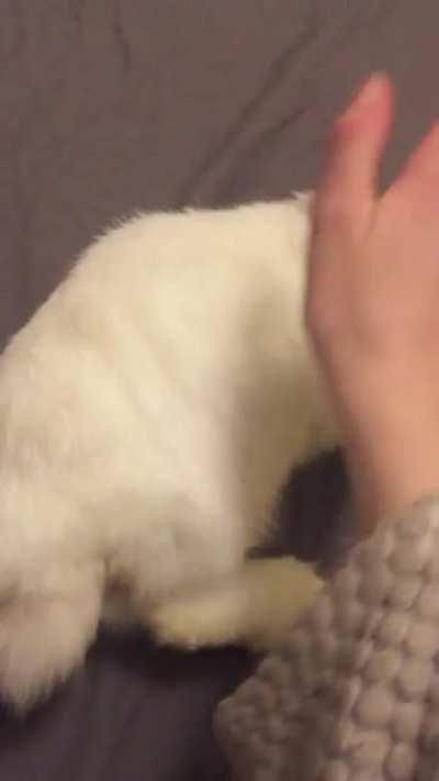 A flop for full body rubs