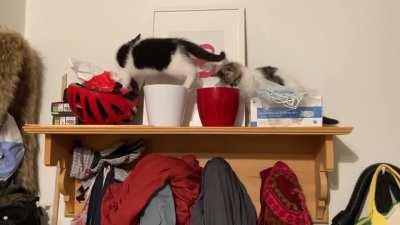 Training for their next heist..