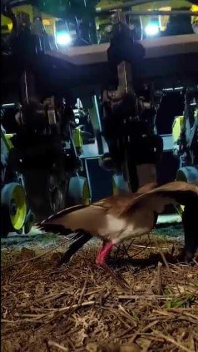 No me toques los huevos..!