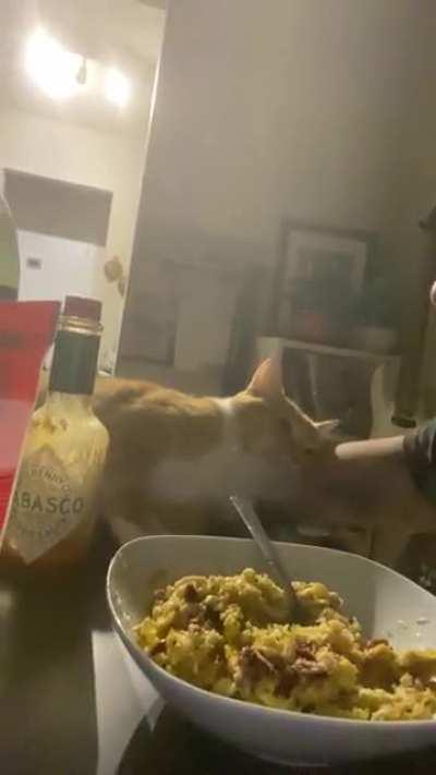 Kaia again since you guys loved her last time