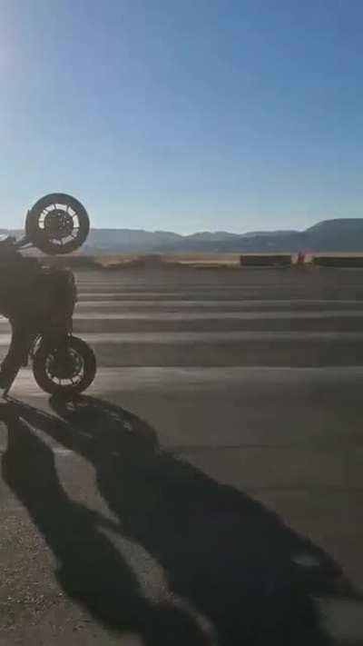 If you ain’t croc’n, you ain’t rockin