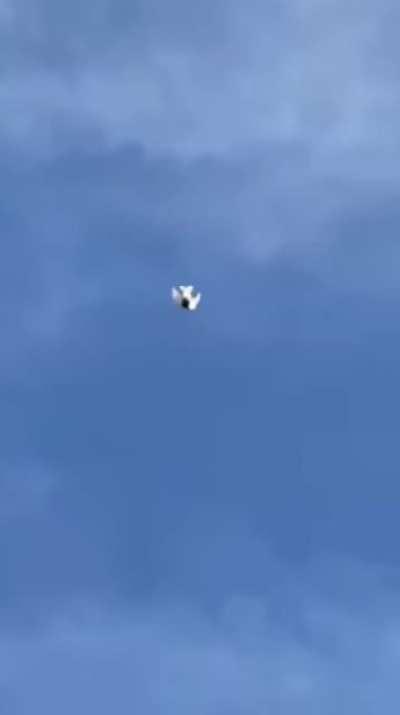 Great catch by the camera-man