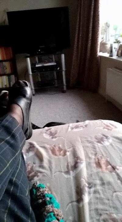 I was asked for an update on Moss, she's doing fine!