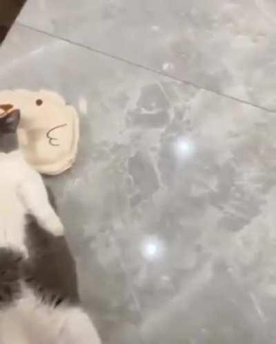 I'm Going To Take A Nap So Just Cover Me With A Blanket