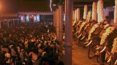 Amazing Visuals on Virschikolsavam at Thrippunithura Poornathryessa Temple (Ernakulam district).