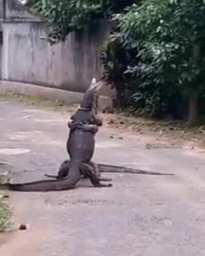 Como ser&atilde;o os encontros do Tinder ap&oacute;s a vacina&ccedil;&atilde;o