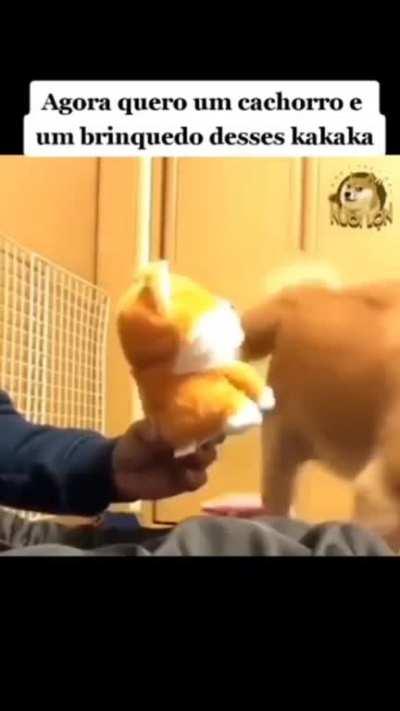 e assim se tornaram melhores amigos