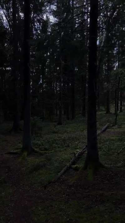 no one ever ask that question 