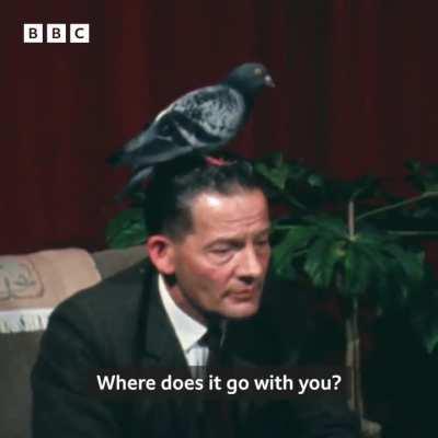 This head seems fine