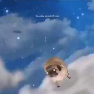 maerd a eb dluoc efiL