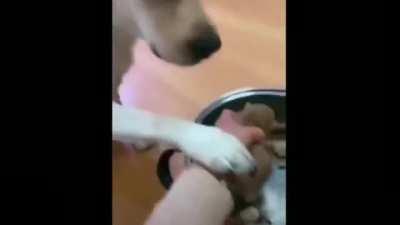 The ultimate sacrifice