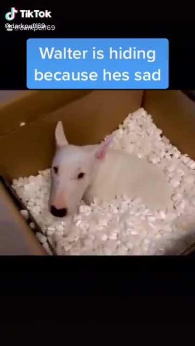 My man Walter got S.W.A.G (Stylin' while a gamer)