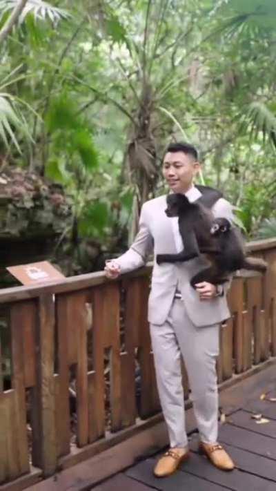 He married to monkey now