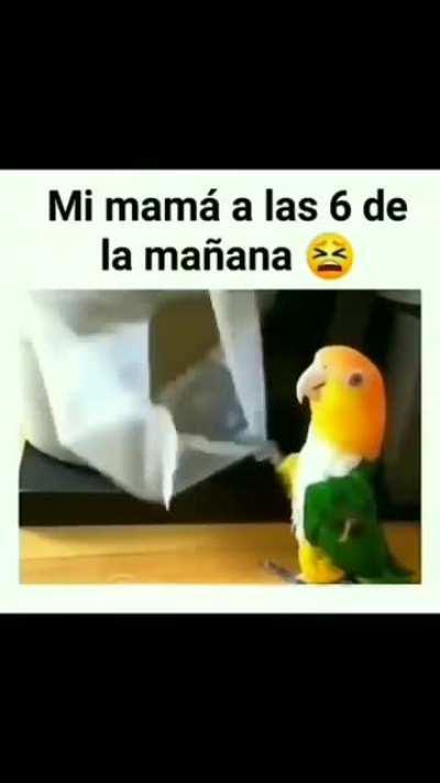 Para mi que lo hacia a propósito