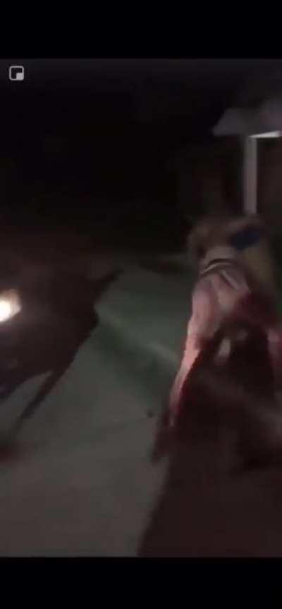 If you’re gonna fight for your kids honour please make sure you win 😫😫