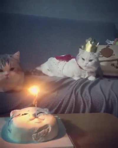 Royal Birthday