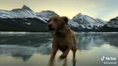 This is movie quality