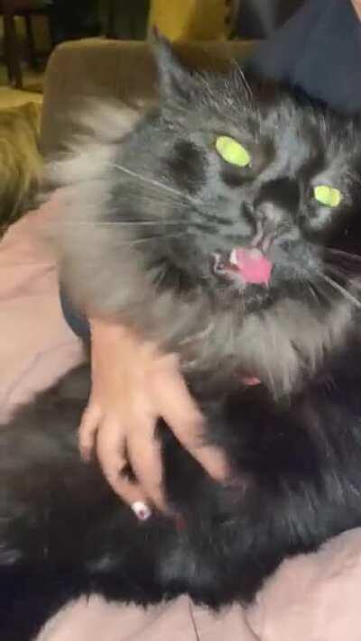 Not sure if if this counts...