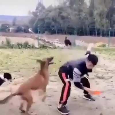 Работают профессионалы