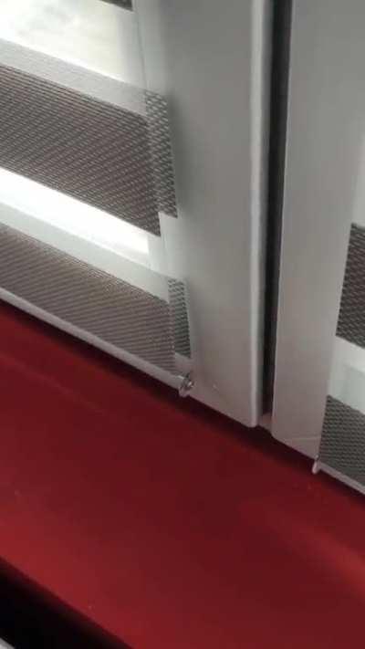 Romanian license plates be like