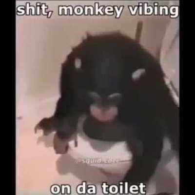 Minke vibing on da toilet gotdam