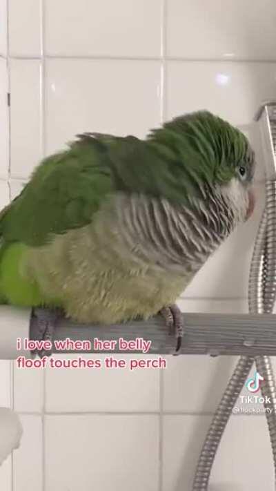 bacon bacon bacon pancake