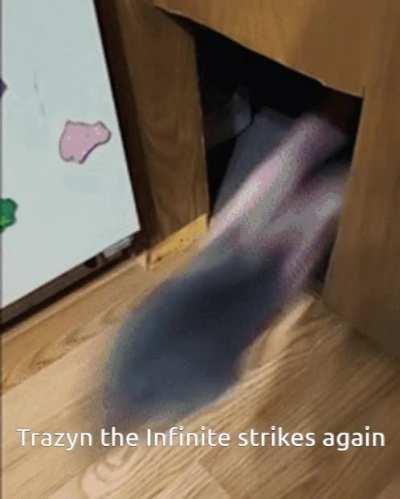 Trazyn the Infinite strikes again.