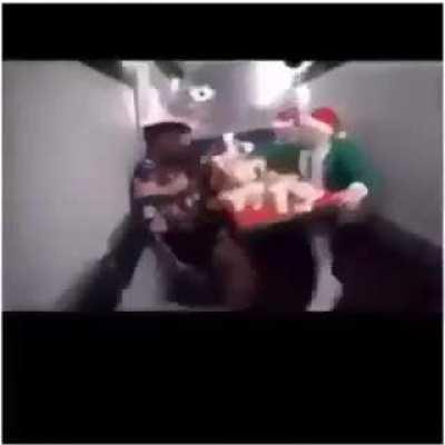 embrión destruction