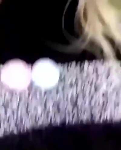 Well on the plus side no forrest fire (Listen very carefully towards the end)