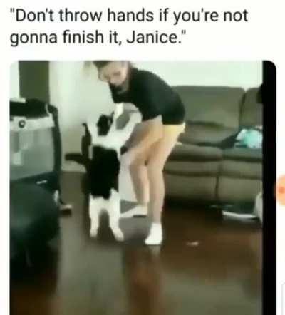 HMC while I get owned by my kitty