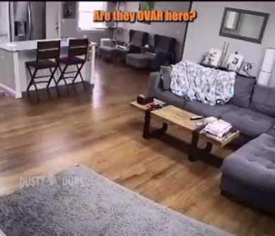 The zoomies and the greebles altogether