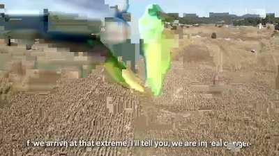 Limes cost 350% more as Cartels terrorize Mexican farmers