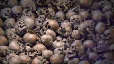 Meet-n-Greet by Tod Ryan