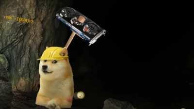 Guys, we're flying for$1. Elon Musk release the kraken :)