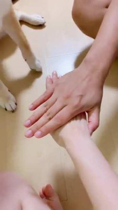 Fear of missing out 🐾