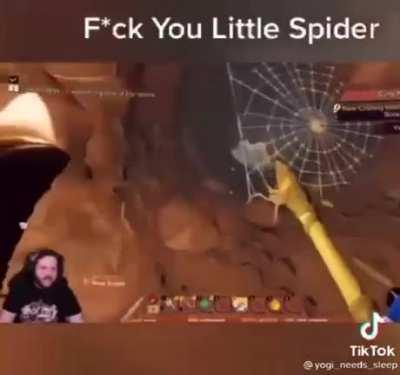 Fuck you little spider