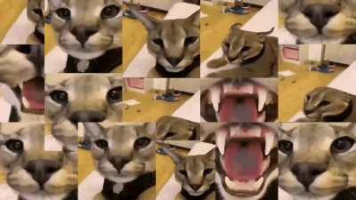 POV: You flopped fo a hoe