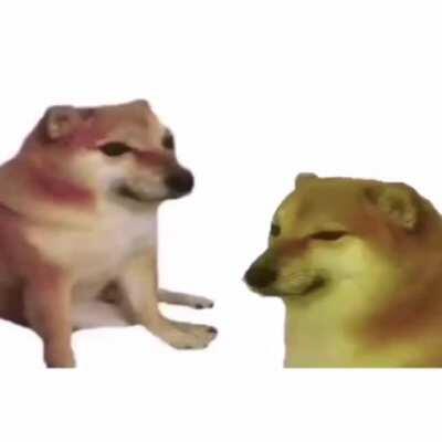 Pov: anno sent u to horny jail