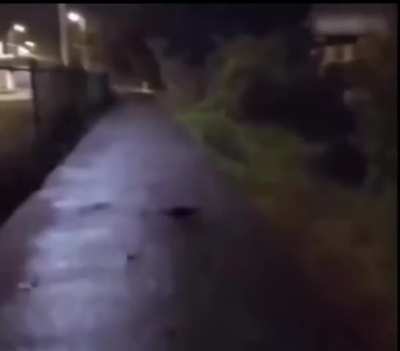 Dude wanted to pull a Halloween prank.