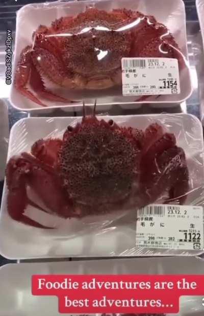 Least fresh Japenis grocery 🇧🇩🇲🇰💪