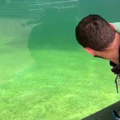 Behold the seal of disapproval.