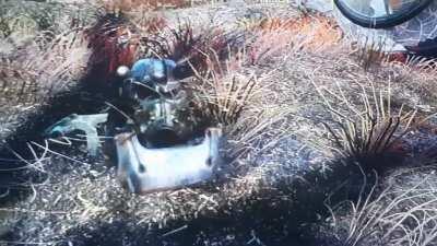 So I was wiping out a Brotherhood of Steel Vertibird when this happened to a Knight