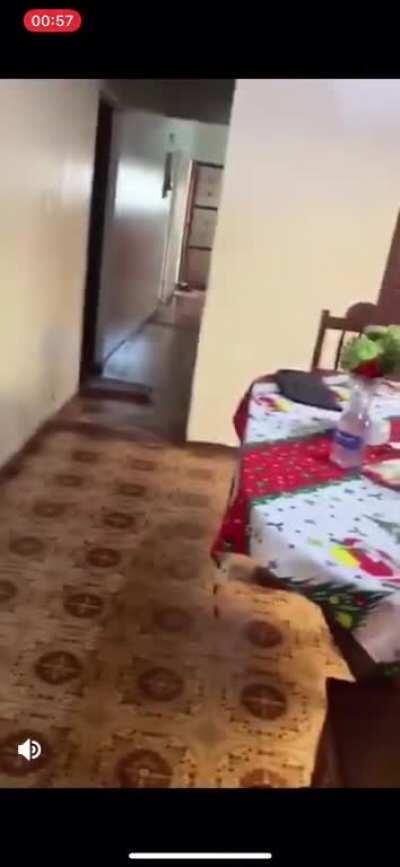Dog removes rugs whenever Wheelchair bound Grandma visits