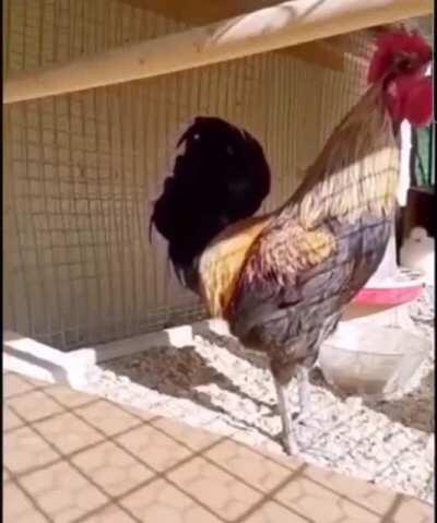 RIP my man, died doing what he loved 😞