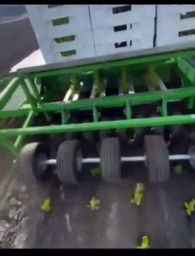 Lettuce plaching tractor