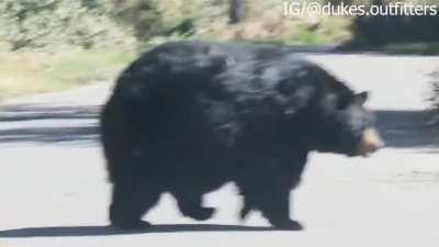 Просто кость широкая!