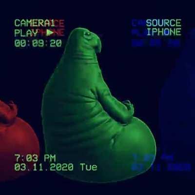 the rotation of <the elevated one>