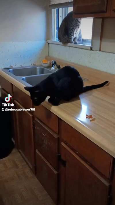 Butchie giving treats to his fam!