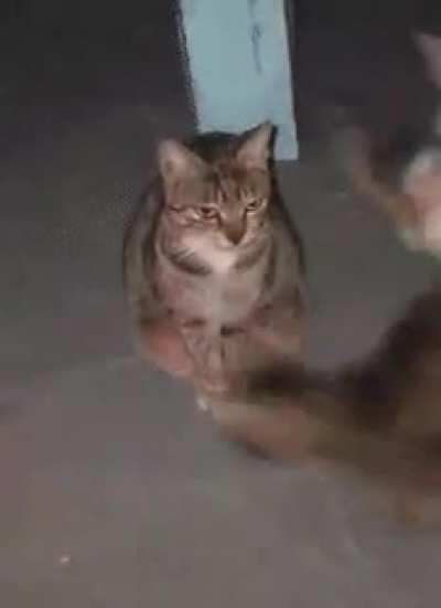 Quando você está de boa em casa, e a visita trás as crianças dela: