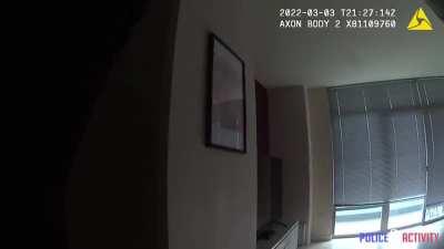 Woman Gets Shot After Stabbing San Diego Police Officer in The Chest [Police Activity, extreme NSFW]